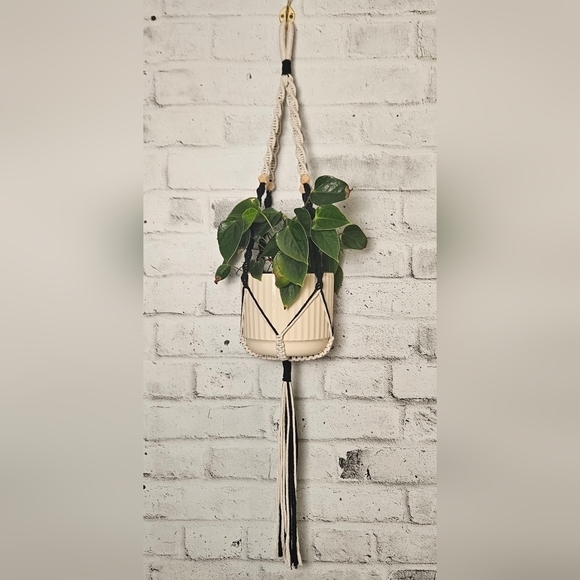 6 Cream Macrame Plant Hanger - Picture 11 of 16